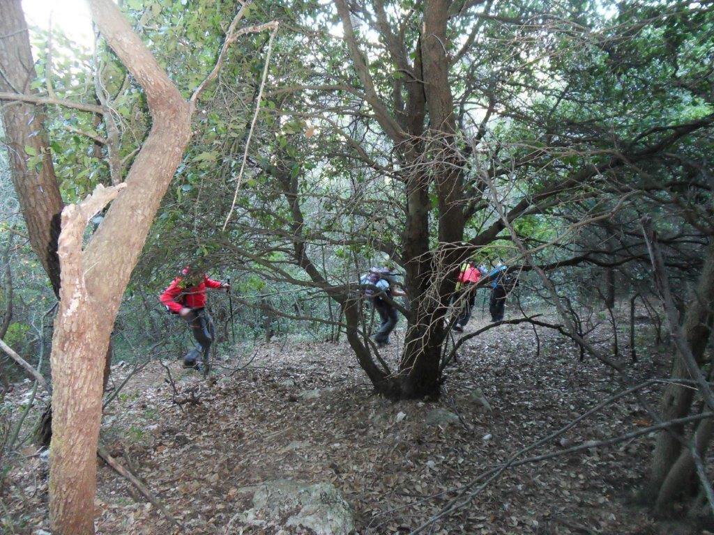 Cuges-Barres du Castellet et du Castillon-Jeudi 16 novembre 2017 KcUbdE