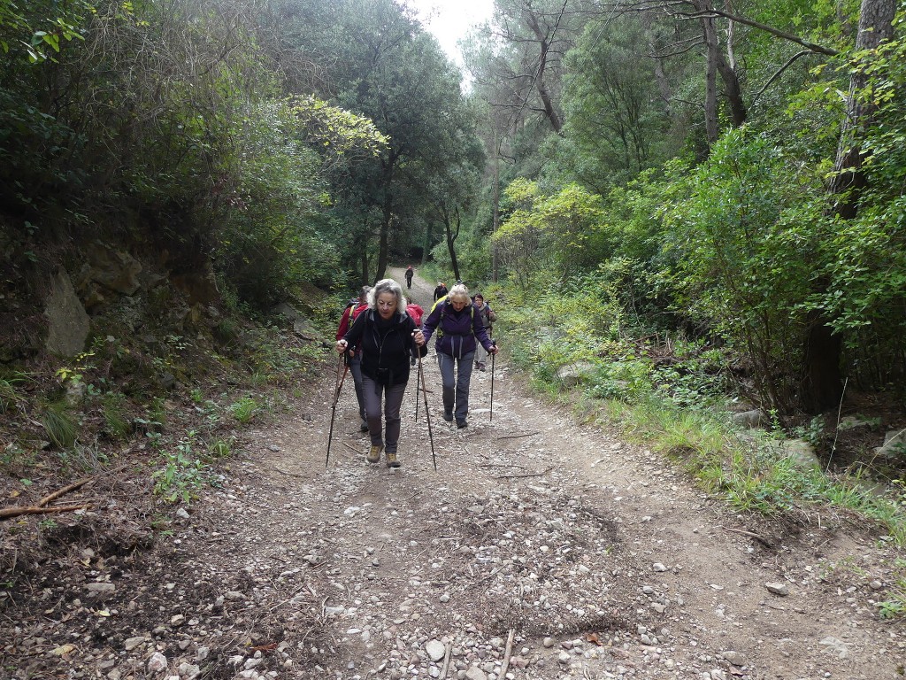 Cuges-Circuit des Jas-Jeudi 7 novemebre 2019 Kf4mf6