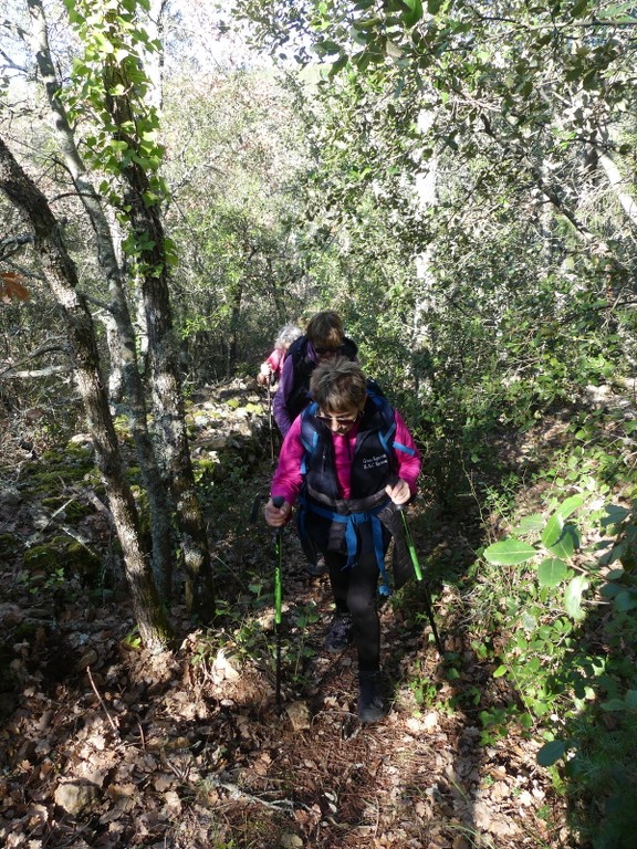 Cabasse-Trou aux Fées-Dolmen de la Gastée-Jeudi 8 février 2018 L5pKAA