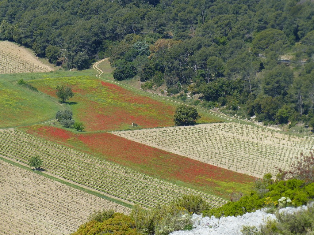 Ceyreste-Montounier-Jeudi 12 mai 2022 LAsjaK