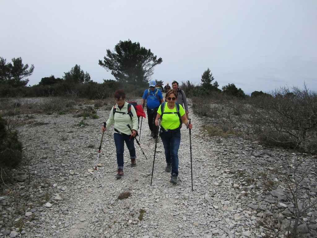 Ceyreste-Le Montounier-Jeudi 27 février 2020 PNlwVi