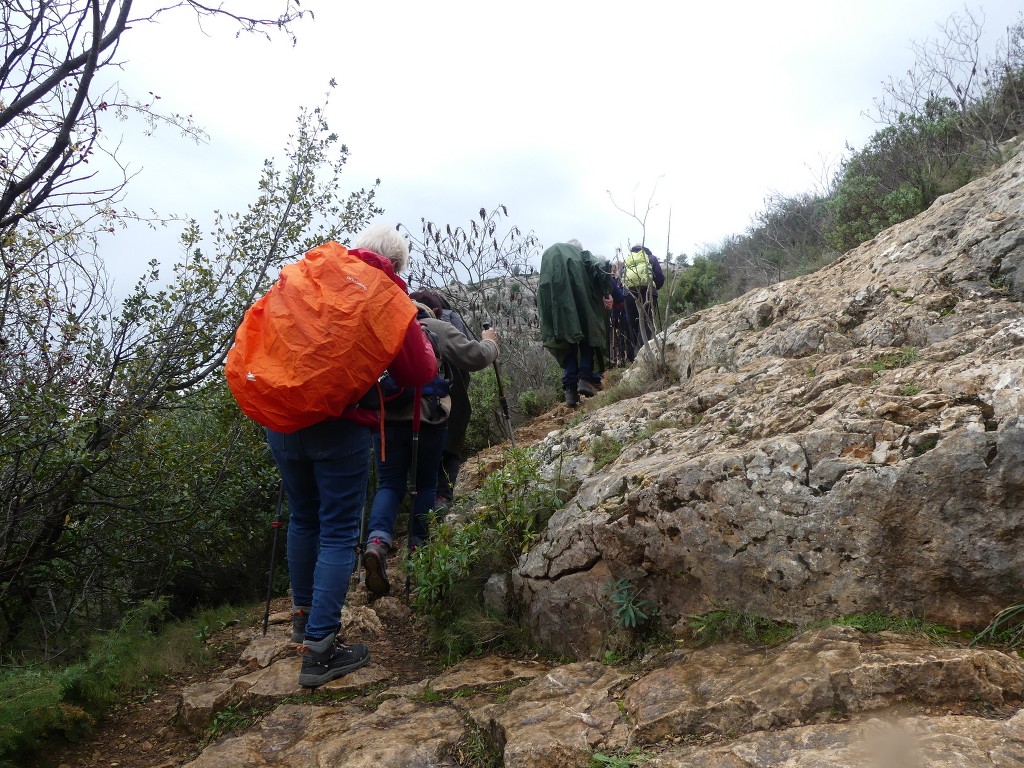 Pichauris-Plateau de l'Aroumi-Jeudi 5 décembre 2019 PkjPDV