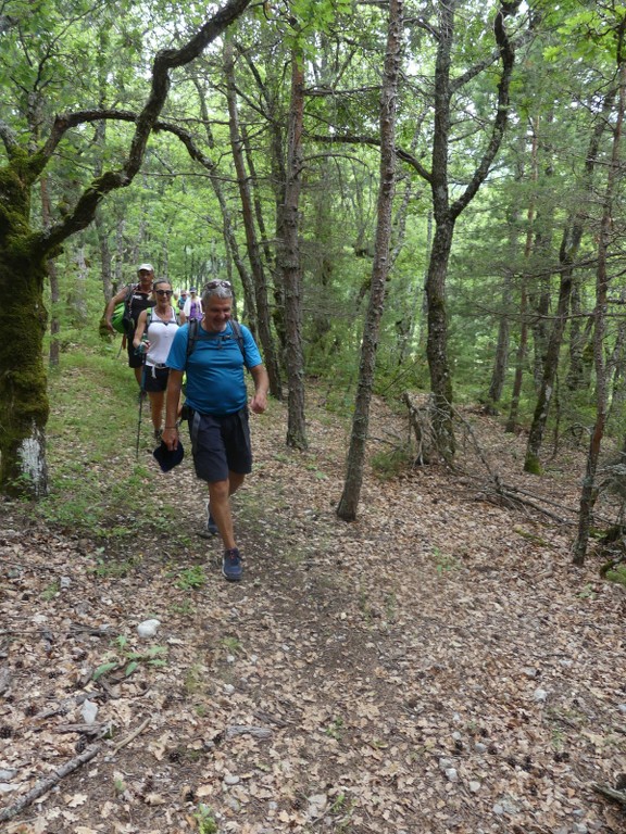 Pic St Cyr-Gorges de la Méouge-Jeudi 21 juin 2018 QRKycD