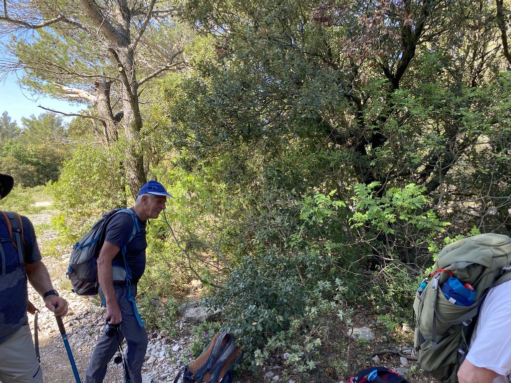 Ceyreste-Montounier-Jeudi 12 mai 2022 QSfNcb