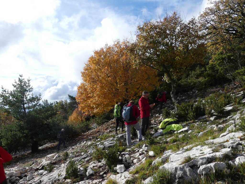 Les Jas du Ventoux sud-Jeudi 8 novembre 2018 QYFmbb