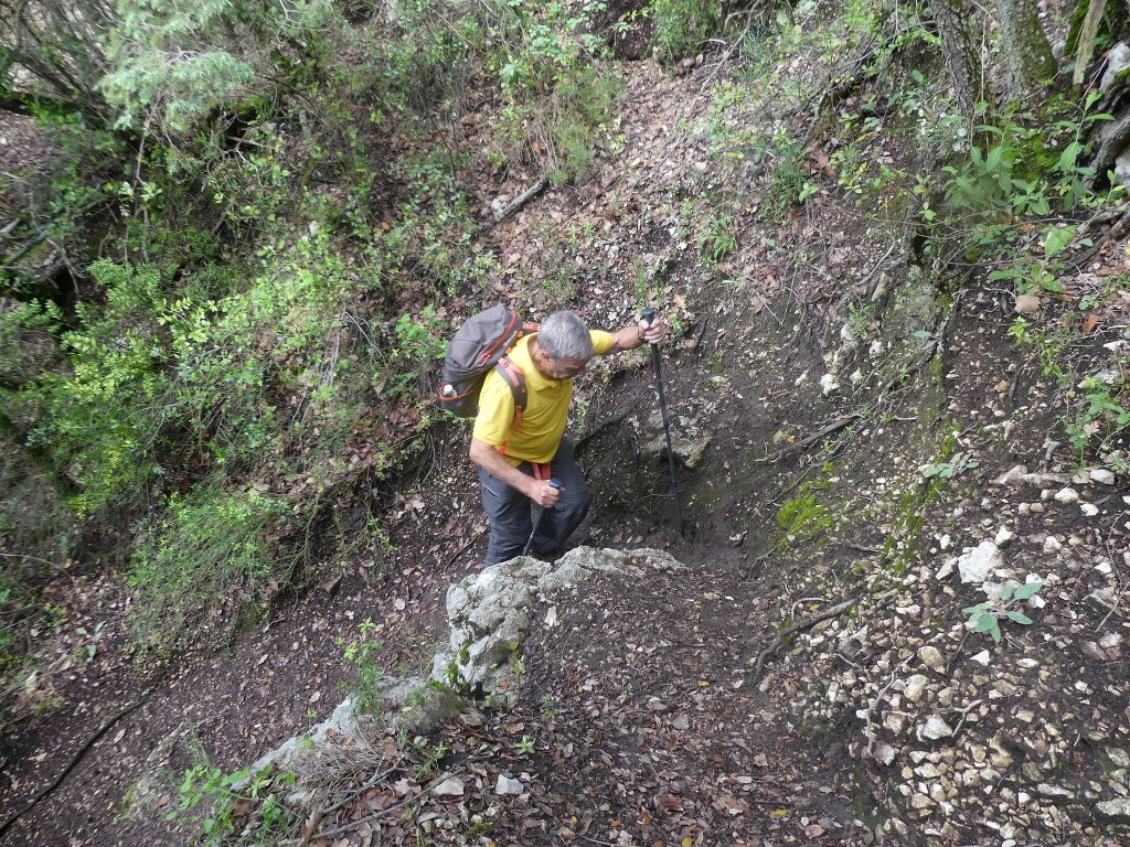 St Saturnin-lès-Apt-Baume Roustan-Jeudi 10 mai 2018 QsTrn7