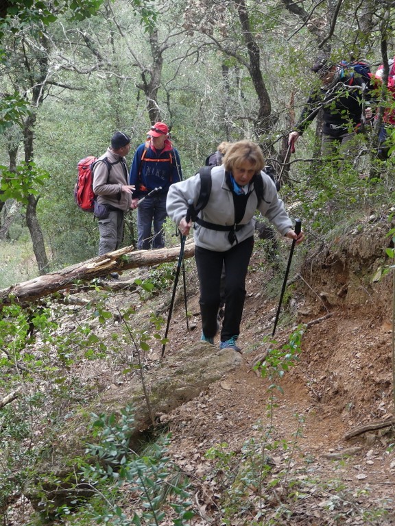 Mont Aurélien-Jeudi 13 février 2020 Rsl4je