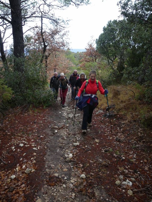 La Roque d'Anthéron-Chaine des Côtes-Jeudi 14 décembre 2017 SZrfzN