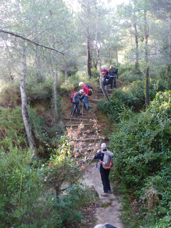 Martigues-Figuerolles-Jeudi 21 janvier 2021 UUfHWh