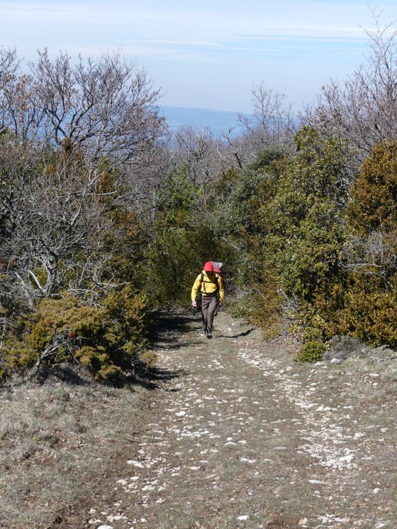 Buoux-Crêtes du Lubéron-Jeudi 22 mars 2018 V5FmkX