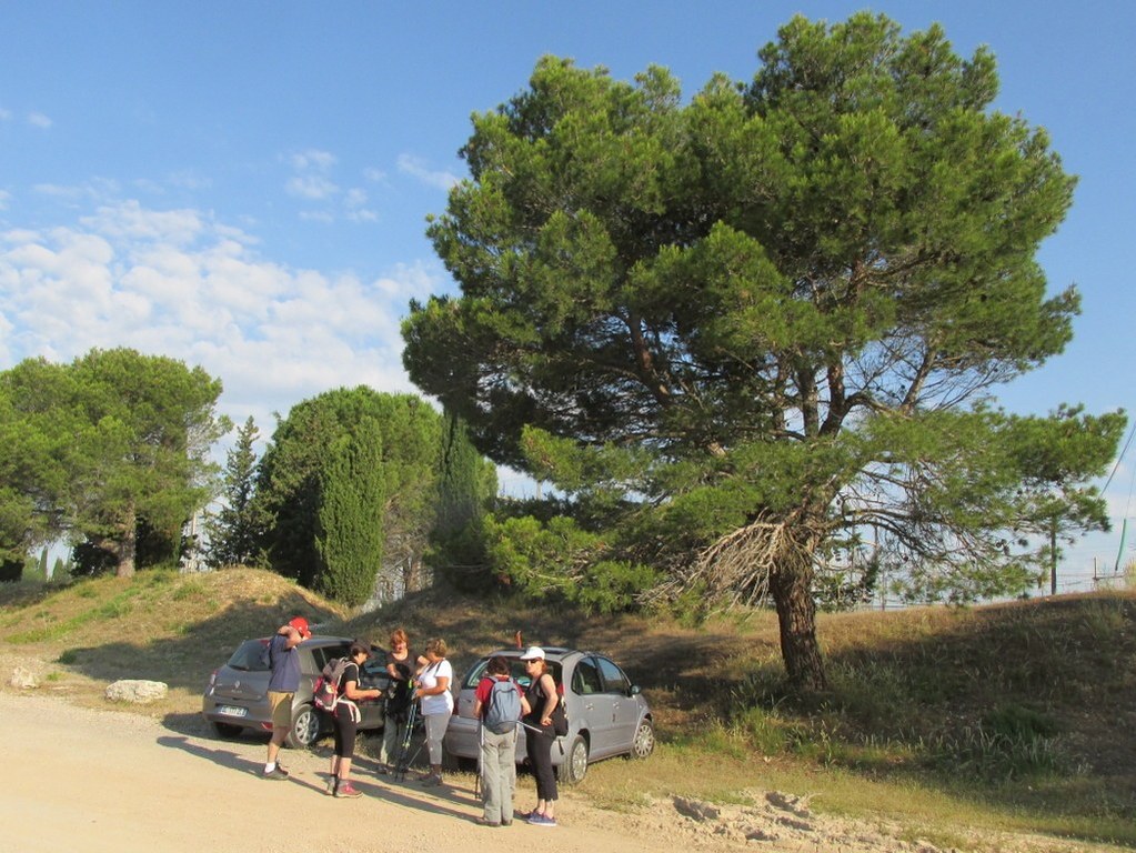 Calas - Jeudi matin 21 juin 2018 VIrUzQ