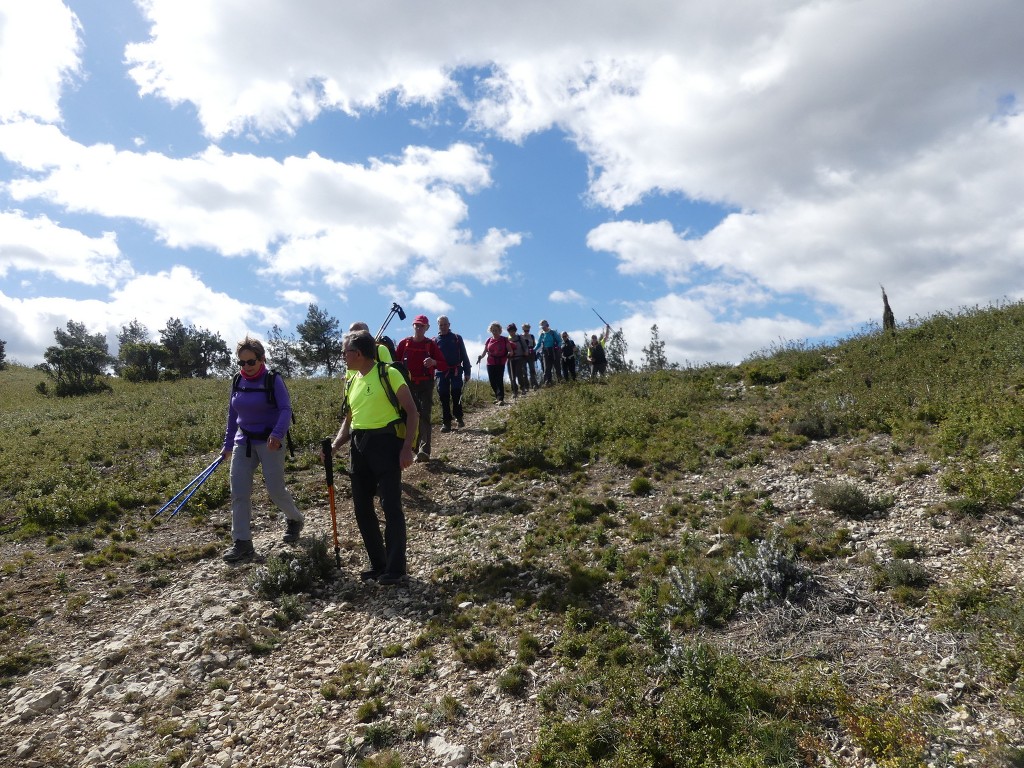 St Rémy-Plateau de la Caume-Mont Gaussier-Jeudi 14 mars 2019 VcuHu7