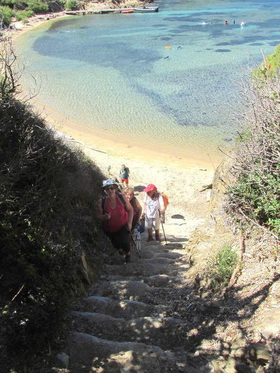 Port Cros- Randonnée groupe JM (Claude par interim)-Jeudi 13 juin 2019 Vy7wfB