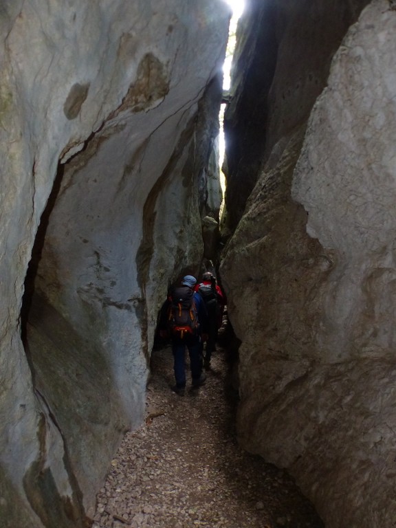 Lubéron-Vallon du Roumiguier, gorges de Régalon-Jeudi 10 mars 2022 WTdUGN