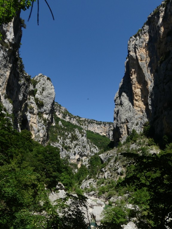 Verdon-Sentiers de l'Imbut et Vidal-Jeudi 2 juin 2022 WVtusU