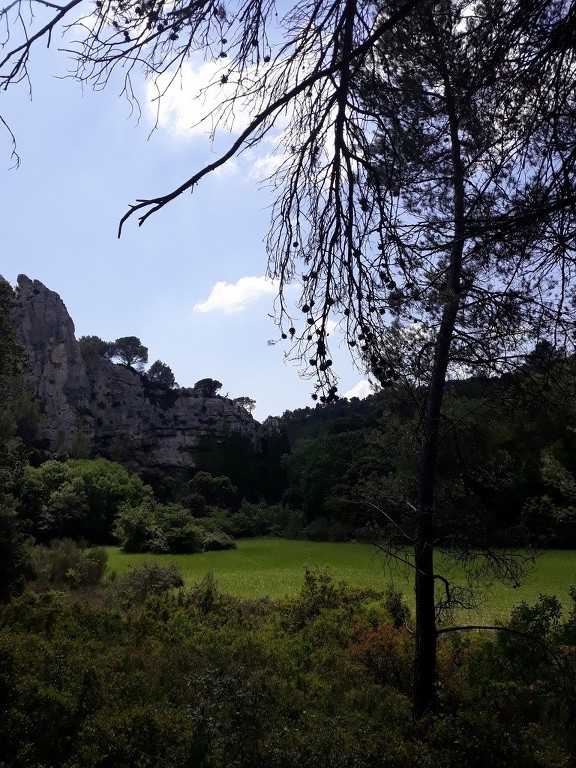 Mérindol- Gorges de Régalon - Samedi 5 mai 2018 WZbef9