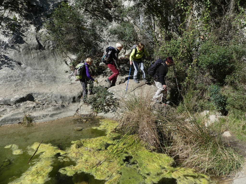 Ollioules-Gorges du Destel-Jeudi 28 mars 2019 ZALXQF