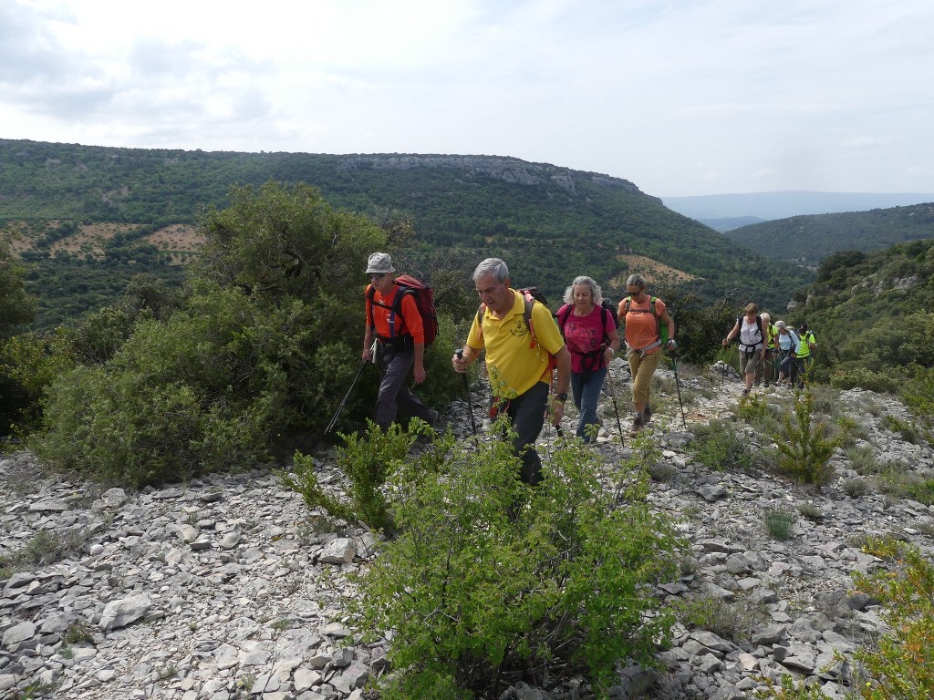 St Saturnin-lès-Apt-Baume Roustan-Jeudi 10 mai 2018 ZIY565