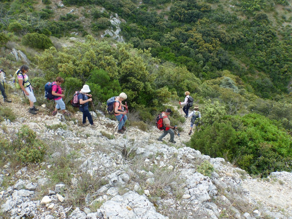 Lubéron-Combe de Vidauque-Jeudi 3 juin 2021 ZVddsB