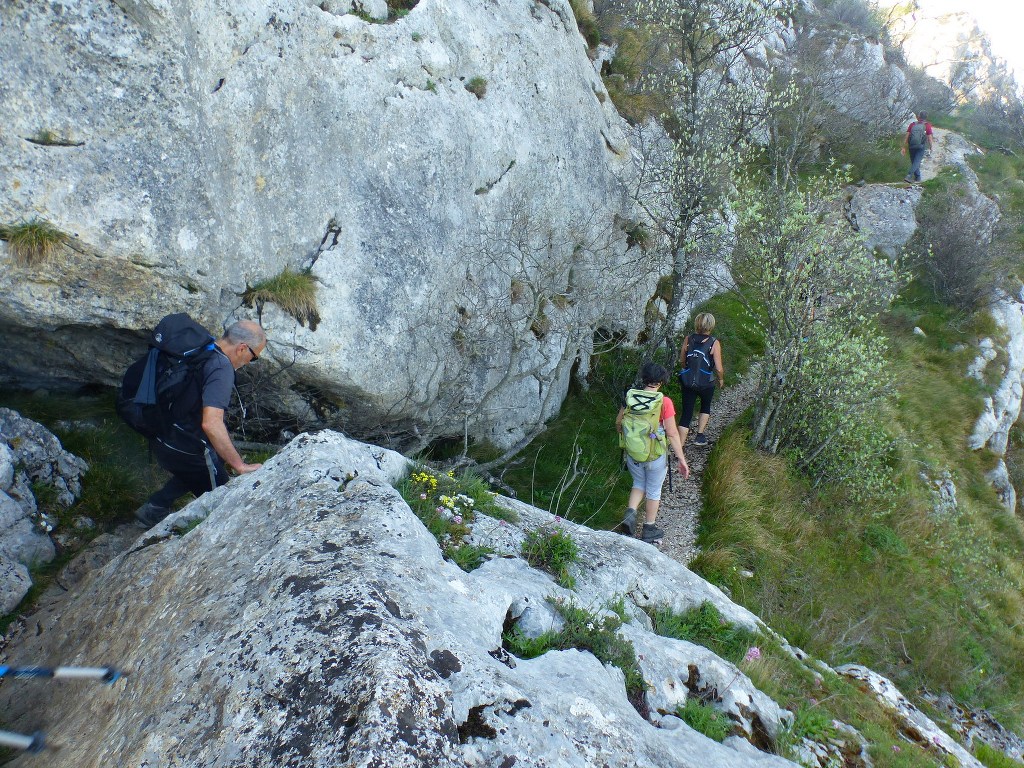 Ste Baume-Grotte aux Oeufs-Béguines-Glacières-Jeudi 28 avril 2022 ZflEP7