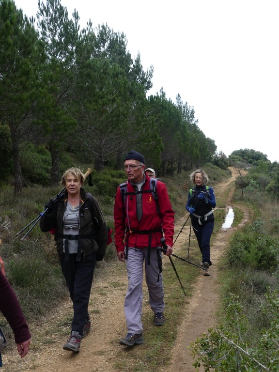 Pichauris-Plateau de l'Aroumi-Jeudi 5 décembre 2019 ZjMQzr