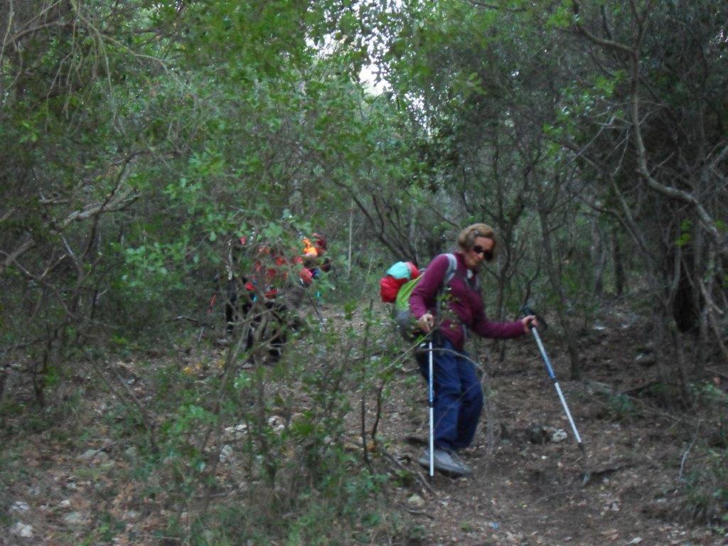 Cuges-Barres du Castellet et du Castillon-Jeudi 16 novembre 2017 ZsgZ5Y