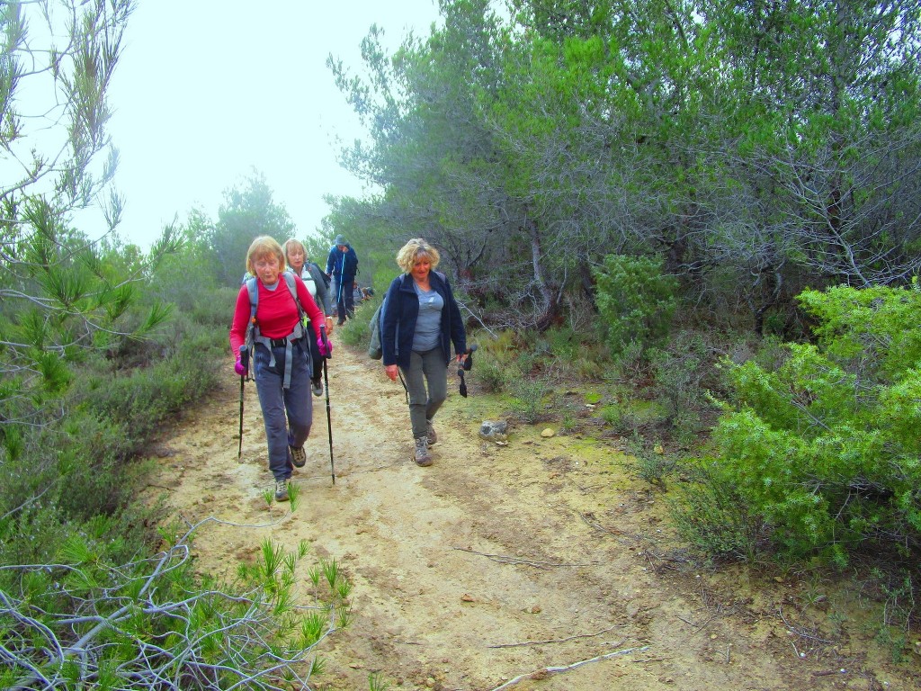 Martigues-Figuerolles-Jeudi 21 janvier 2021 BdVMBF