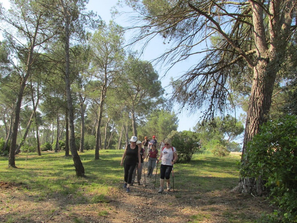 Calas - Jeudi matin 21 juin 2018 BfTrgI