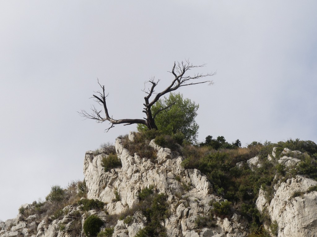 Grand Puech-Mont Julien-Jeudi 11 octobre 2018 C6WnDJ