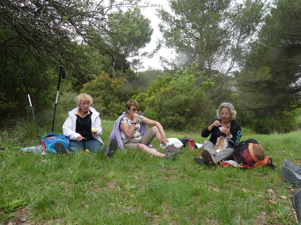 Garlaban-Marmittes du Grand Vallon-Jeudi 17 mai 2018 G39KgZ