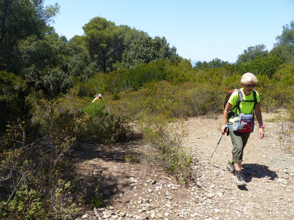 Porquerolles-Du Mont de Tièlo à la Galère-Jeudi 23 juin 2016 GgoPWd