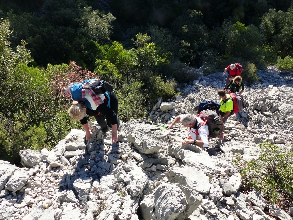 Le Revest-les-Eaux-Le Grand Cap-Jeudi 27 octobre 2016 GkcX9f