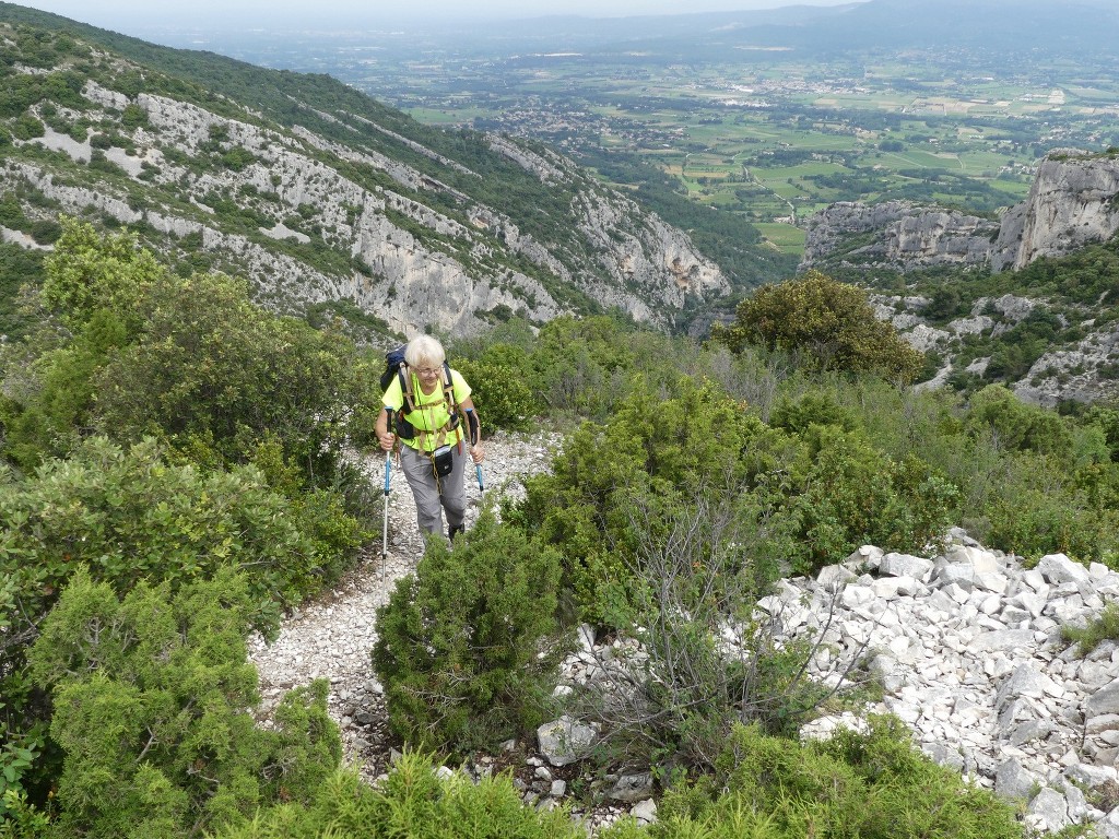 Oppède-Forêt des Cèdres-Jeudi 7 juin 2018 HzP668