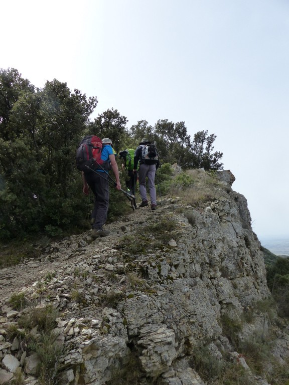 Dentelles de Montmirail-Jeudi 31 mars 2016 IhrT3R