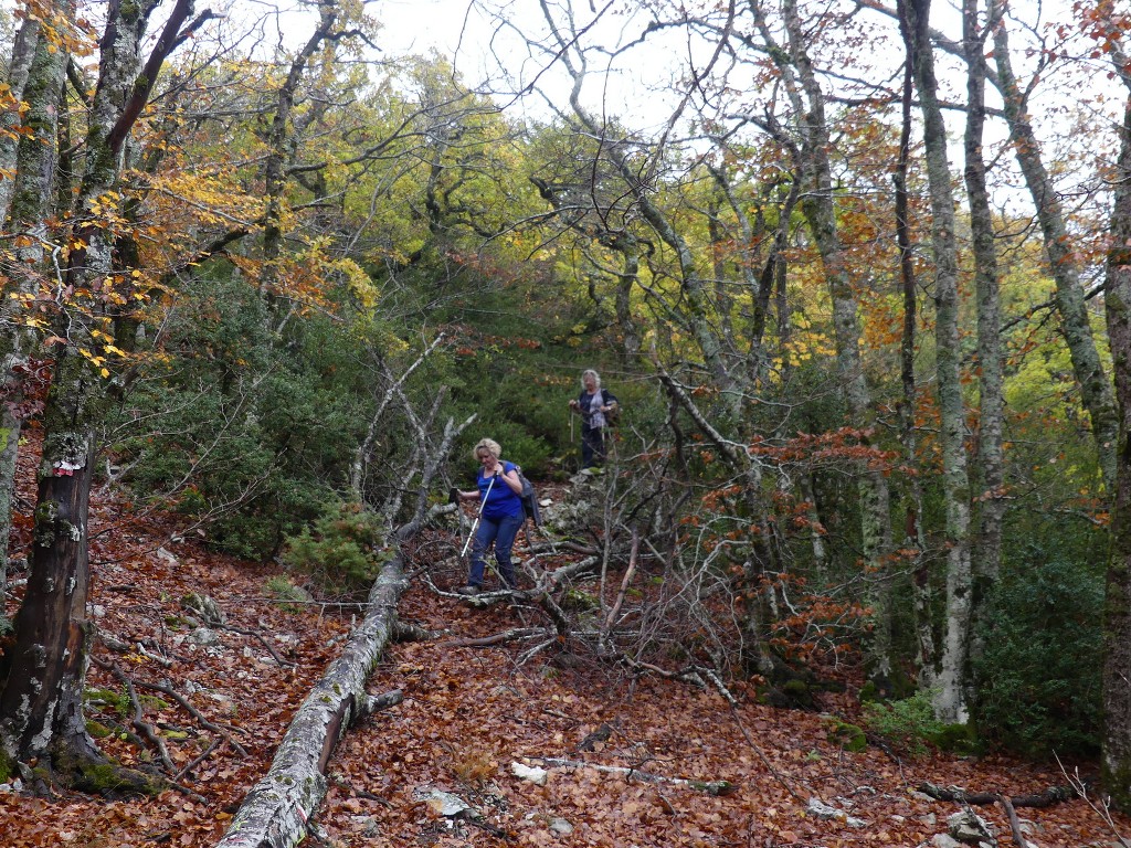 Les Jas du Ventoux sud-Jeudi 8 novembre 2018 Jq2yH0