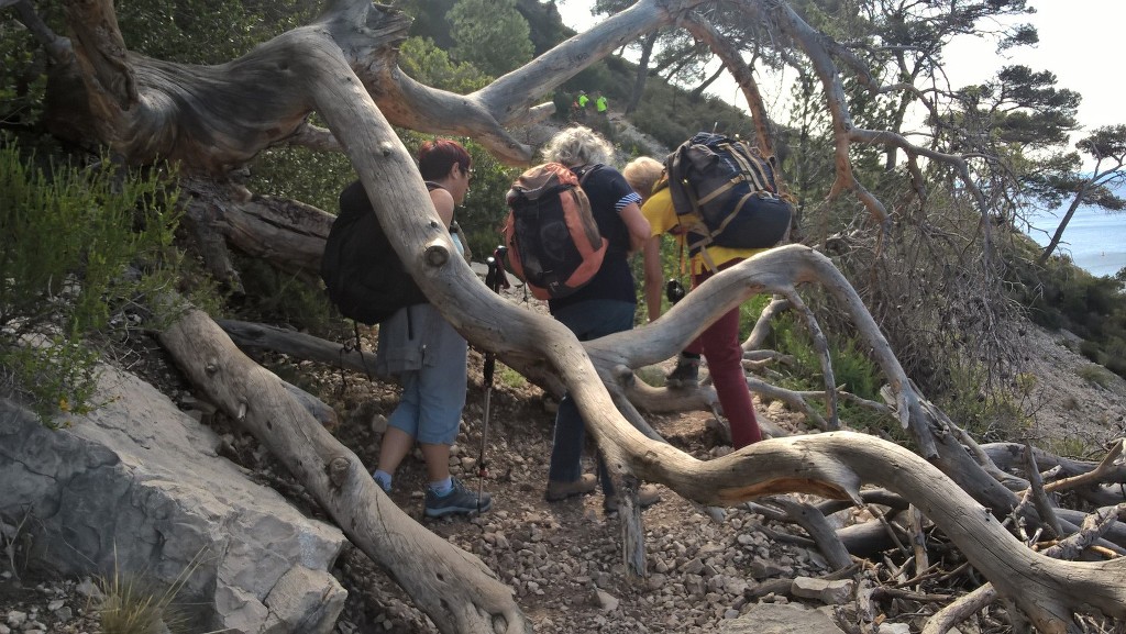 Mont Puget par l'Œil de Verre-Jeudi 3 mai 2018 JsgukN