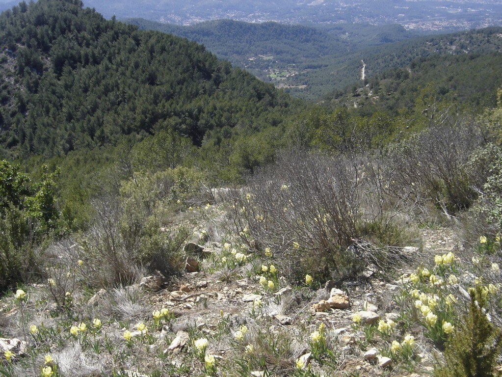 Kirbon - Crêtes du Regagnas - Jeudi 5 avril 2018 Kv3jV3