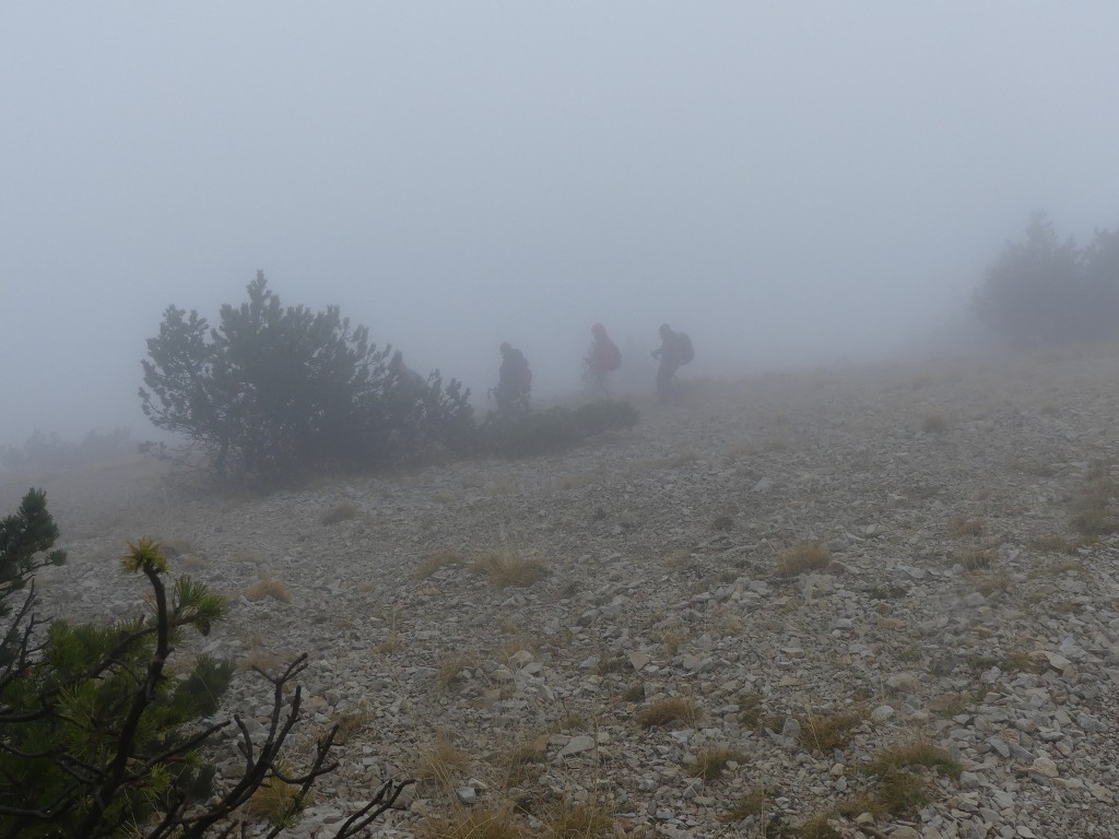 Mont Serein-Ventoux-Jeudi 17 octobre 2019 LJEHV9