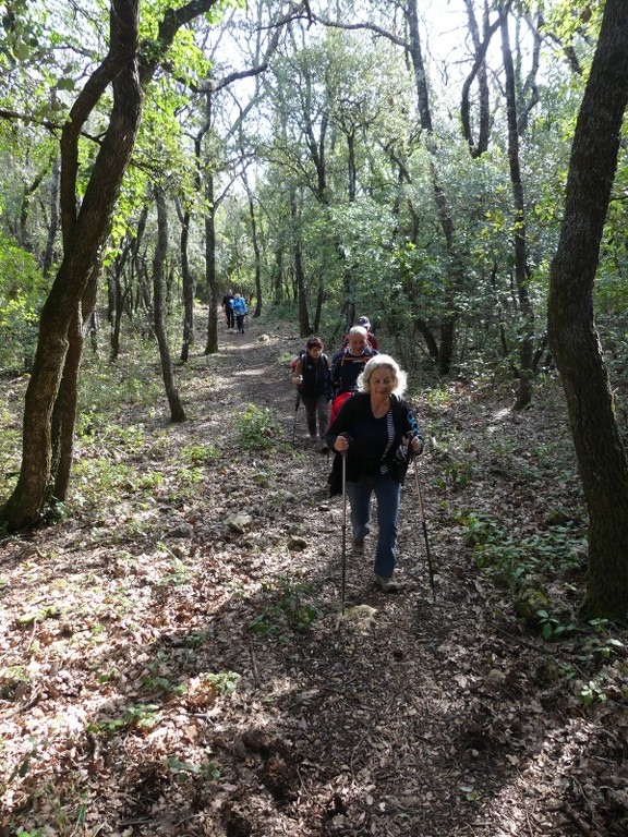 Méounes-Montrieux-Le Grand Puy-Jeudi 15 mars 2018 NQAOGn