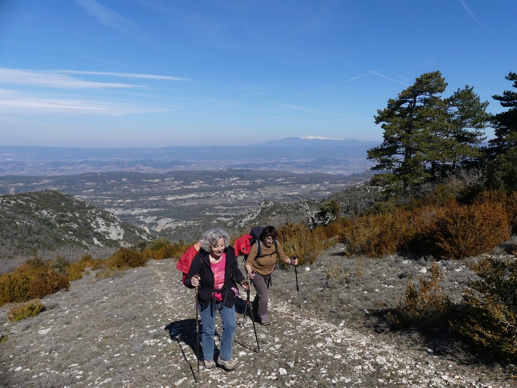 Buoux-Crêtes du Lubéron-Jeudi 22 mars 2018 NZMSMP