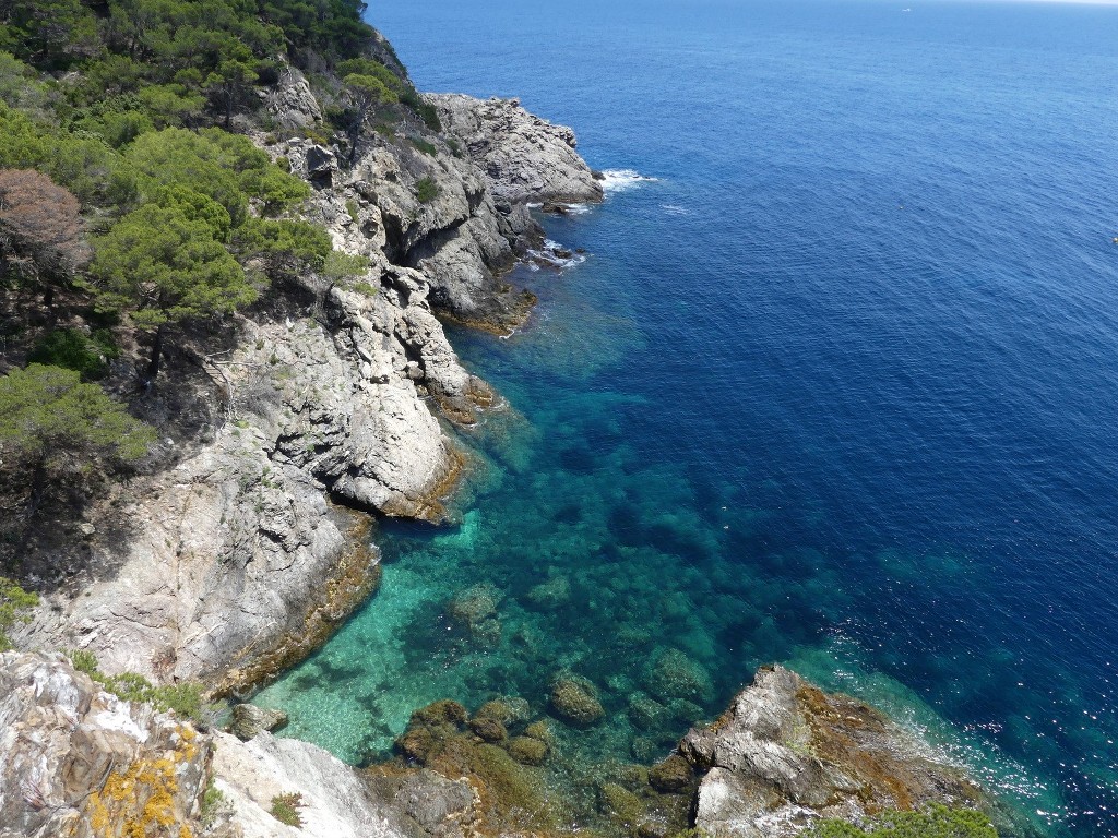 Porquerolles-Jeudi 14 juin 2018 NmIVWS