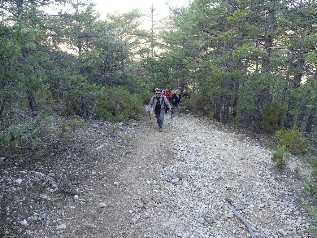 Verdon-Ourbes-Plein Voir-Jeudi 5 avril 2018 OfoOHz