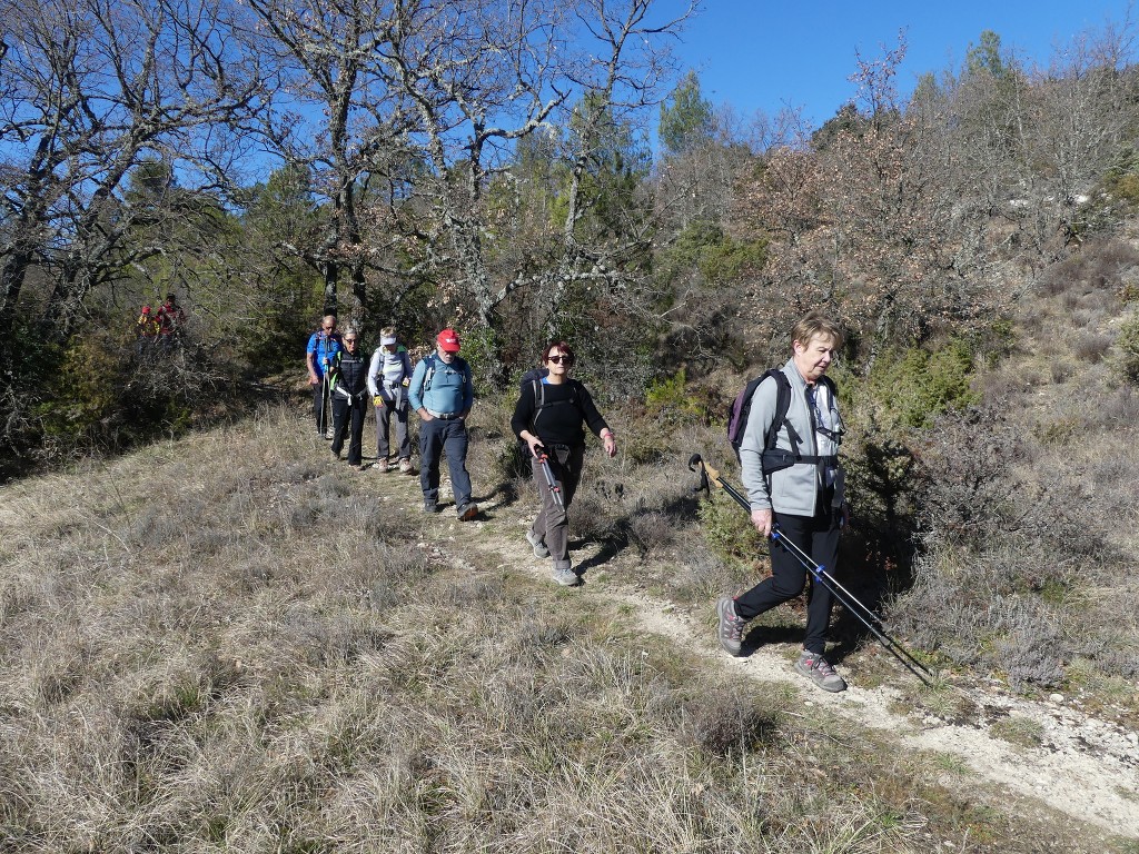 Rians-Montagne d'Artigues-Jeudi 7 mars 2019 SX3GzL