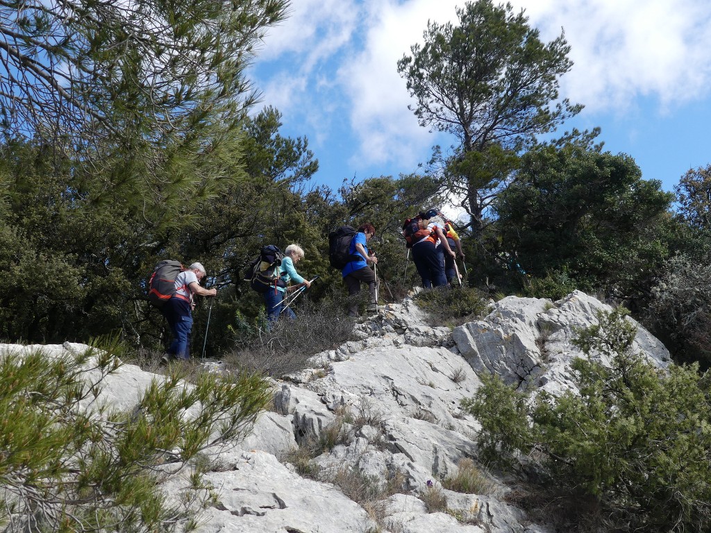 Rians-Montagne d'Artigues-Jeudi 7 mars 2019 SymyRr