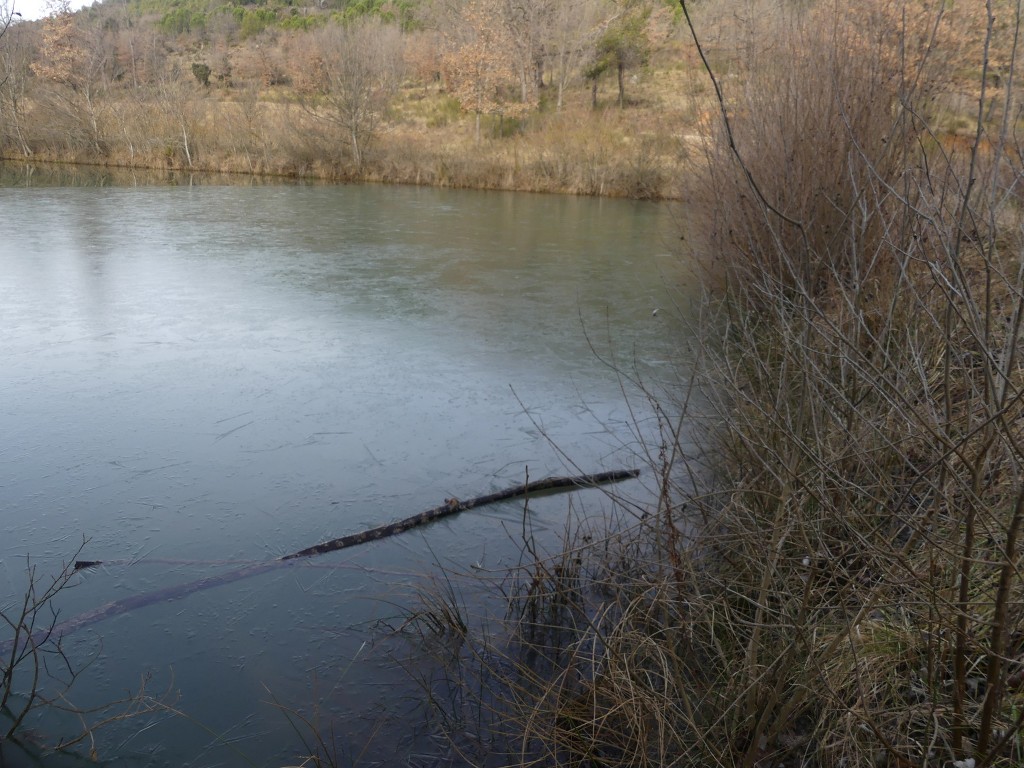 Sources de l'Huveaune-Rocs du Cayre-Jeudi 7 février 2019 TaXJon