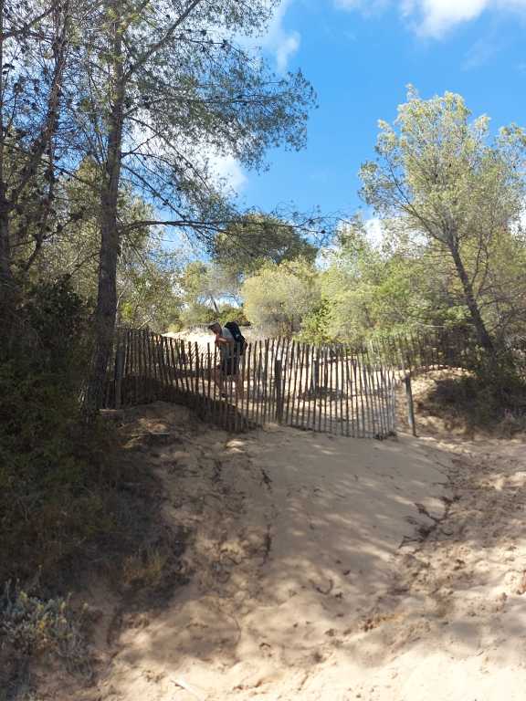 La Madrague-Port d'Alon-Jeudi 23-juin 2022 UATdh1