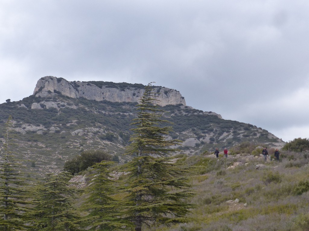 Lubéron-Vallon du Roumiguier, gorges de Régalon-Jeudi 10 mars 2022 UYp2sp