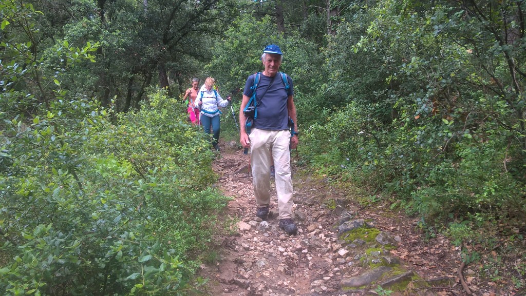 Oppède-Forêt des Cèdres-Jeudi 7 juin 2018 VP0hLT