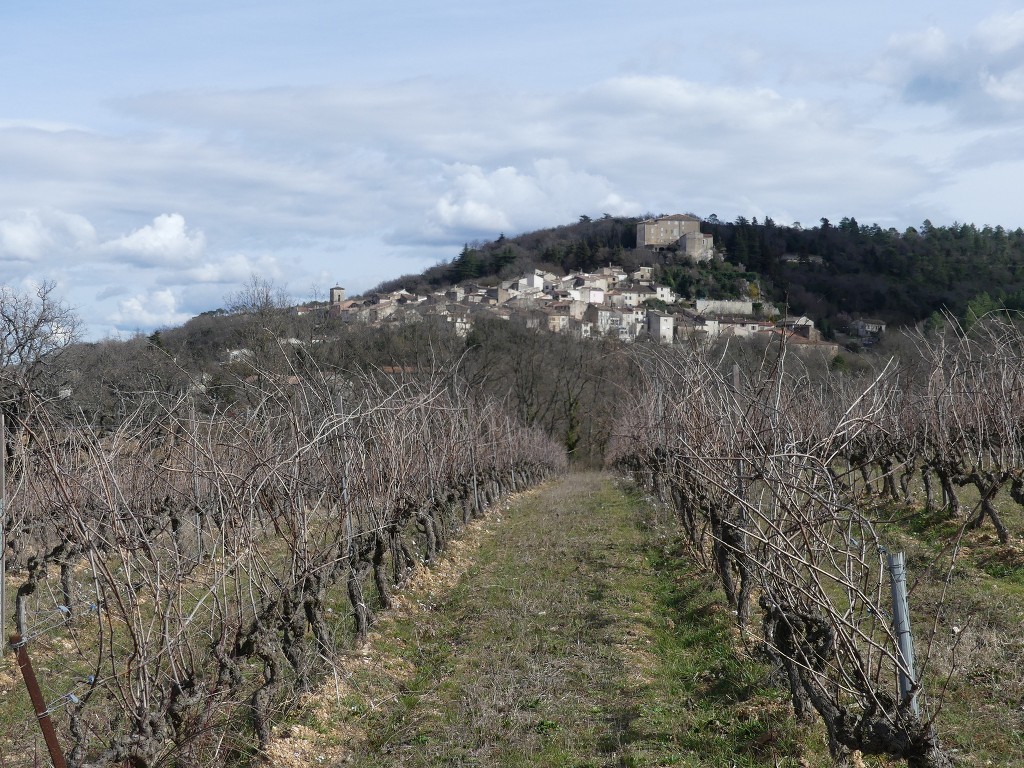 Rians-Montagne d'Artigues-Jeudi 7 mars 2019 WAaH6S