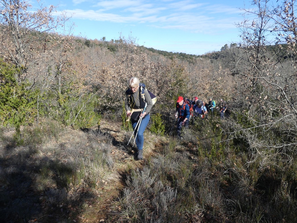 Rians-Montagne d'Artigues-Jeudi 7 mars 2019 WG95p8